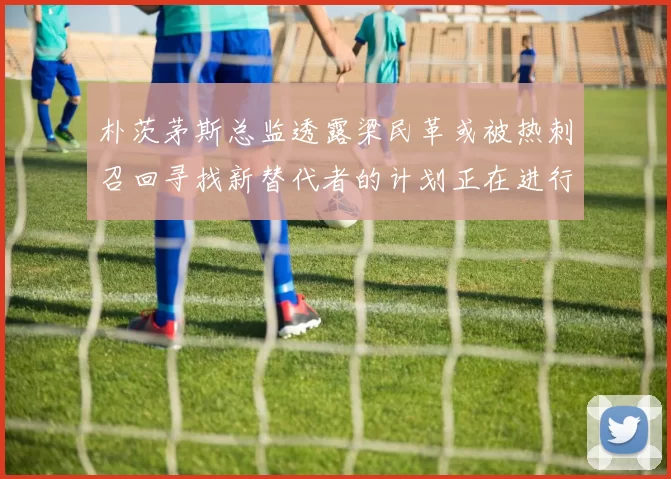 朴茨茅斯总监透露梁民革或被热刺召回寻找新替代者的计划正在进行中
