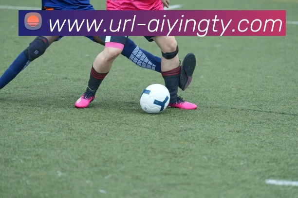 爱赢体育平台生态图